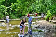 _DSC0013 (800x530).webp _DSC0013 (800x530).webp