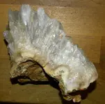 DSCN4308.webp