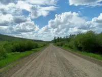 saratoga 2.webp