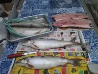 2014-07-13 12.13.15.webp