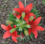 008.webp
