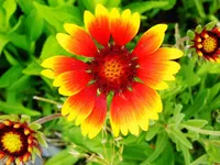 DSCN8360.webp