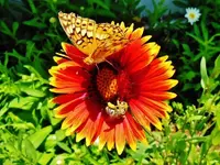 RSCN9640.webp