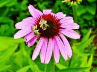 FSCN0963.webp