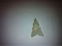 image-1291814427.webp