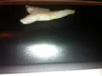 image-2037233951.webp
