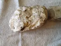 image-4005350513.webp