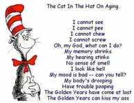 cat in the hat.webp