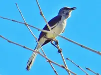 DSCN4415.webp