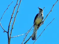 DSCN4417.webp