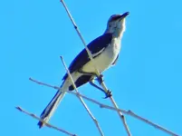 DSCN4419.webp