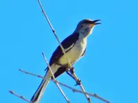 DSCN4423.webp