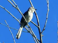FSCN4320.webp