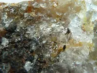 gold and rocks 6-7-14 014.webp