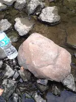 image-4124735076.webp