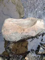 image-3545111523.webp