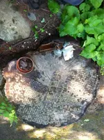 image-3717716022.webp