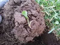 20140615_195927.webp