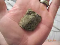 DSCN0129.webp