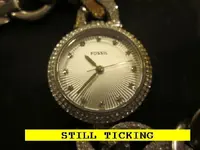 0615TICK1.webp