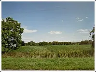 SDC18530.webp