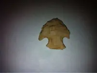 image-2175199205.webp