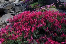 025big.webp