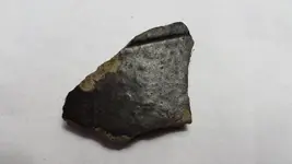 Pottery Shard Outside.webp
