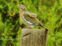 DSCN2568.webp