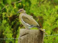 DSCN2571.webp