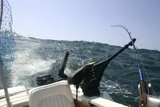 big wave.webp