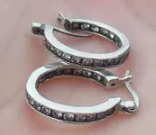 Pair of Ear 2.webp