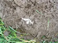 100_2563.webp