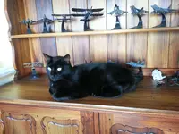 20130429_080609.webp