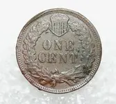 Cleaned Reverse.webp