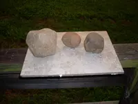 SDC11104.webp