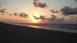 image-814436296.webp