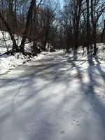 Feb Iowa glacier.webp