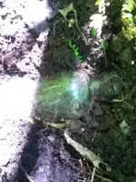 image-1758940501.webp