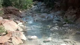 ResizedImage_1405902687088.webp
