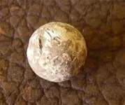 50 cal ball.webp 50 cal ball.webp
