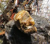 Quartz.webp
