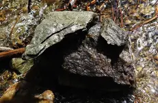 Schist.webp