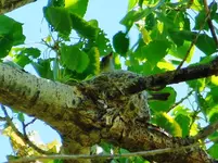 DSCN4171.webp