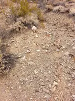 20140615_130016.webp