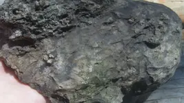 125_1753.webp