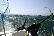 waves2.webp