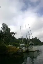 boat6.webp