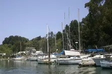 boat3.webp