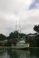 boat10.webp